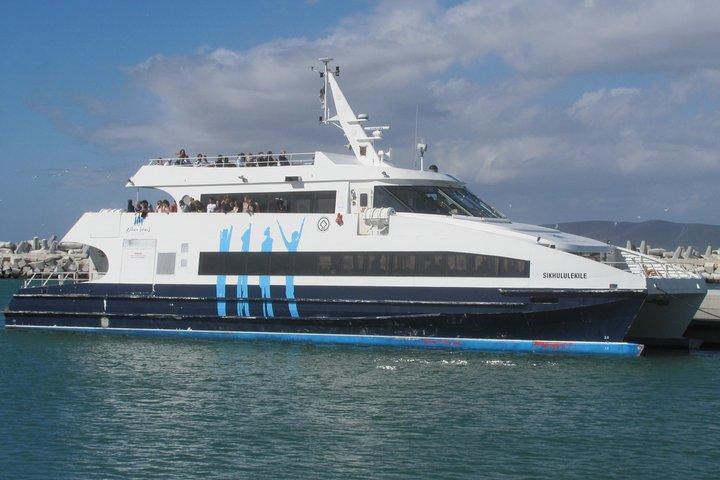 Cape Town Private -Robben Island and Cape Peninsula Penguins Tour - cover photo