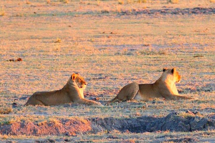 South Africa, Botswana and Zimbabwe Wildlife Adventure - photo 3