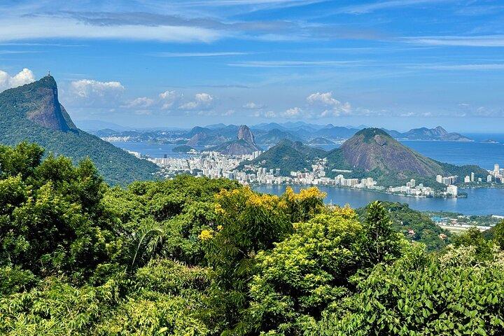 Wildlife, Waterfalls and Caves: Tijuca Rainforest Hike in Rio de Janeiro - photo 4