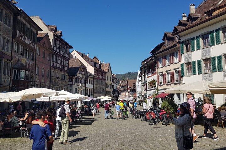 Rhine Falls & Stein am Rhein Private Tour - photo 5