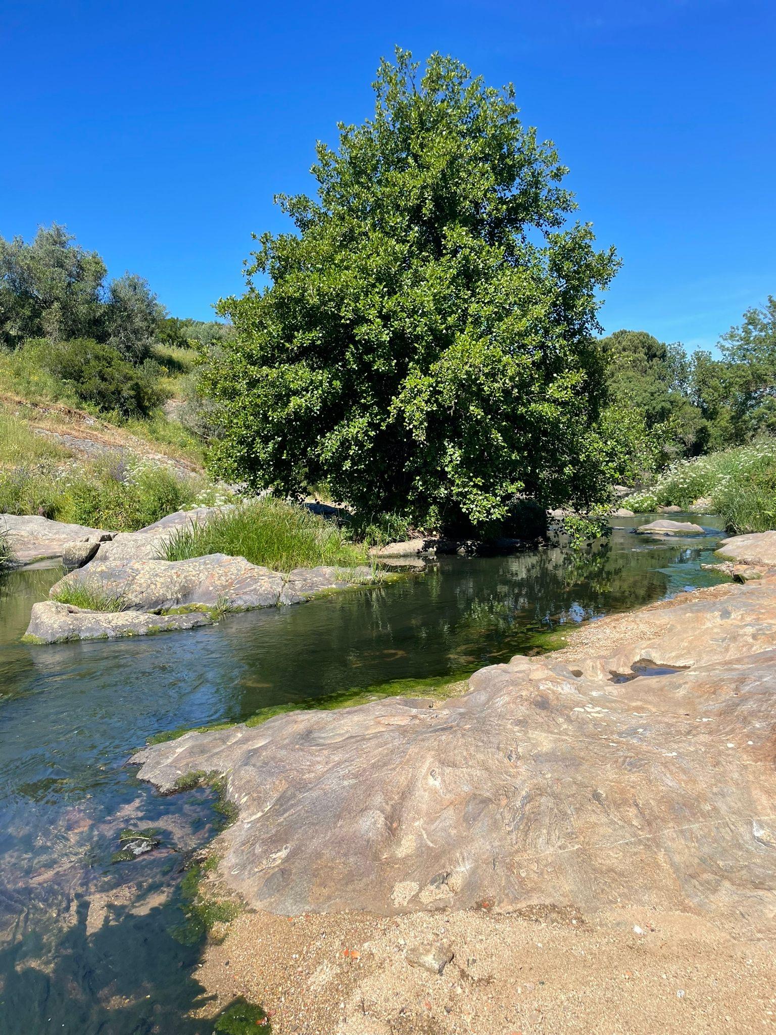 Montemor-o-Novo: Guided Hiking Tour with Lunch - photo 5