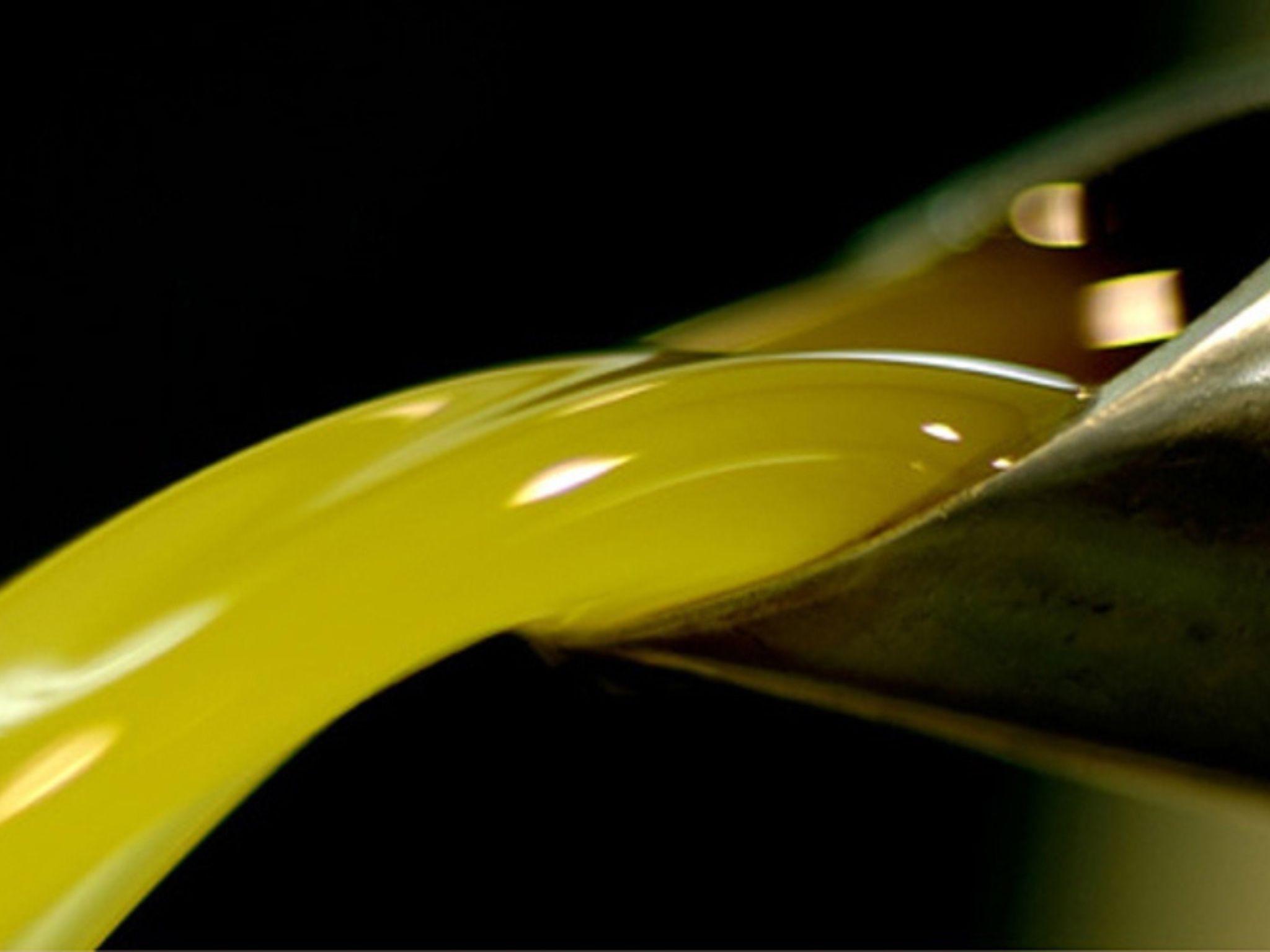 Olive Mill Visit & Guided Tasting in Taggia - photo 3