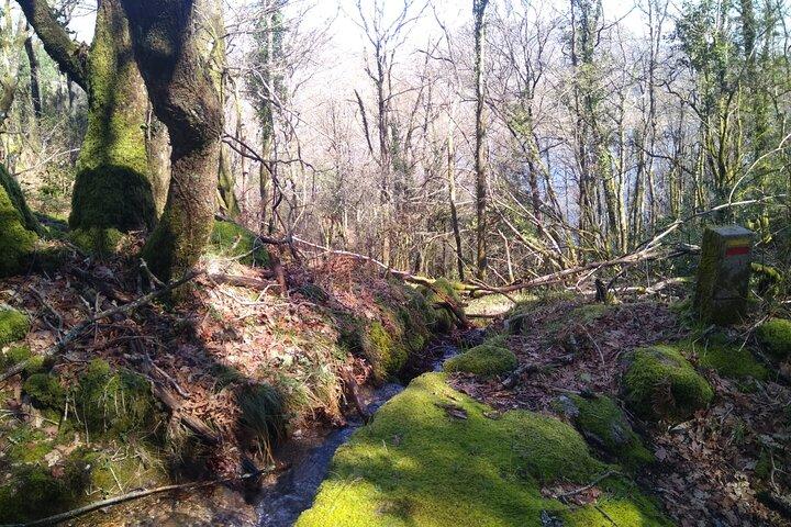 Breathtaking Nature in Gerês Park - Private tour from Porto - photo 2
