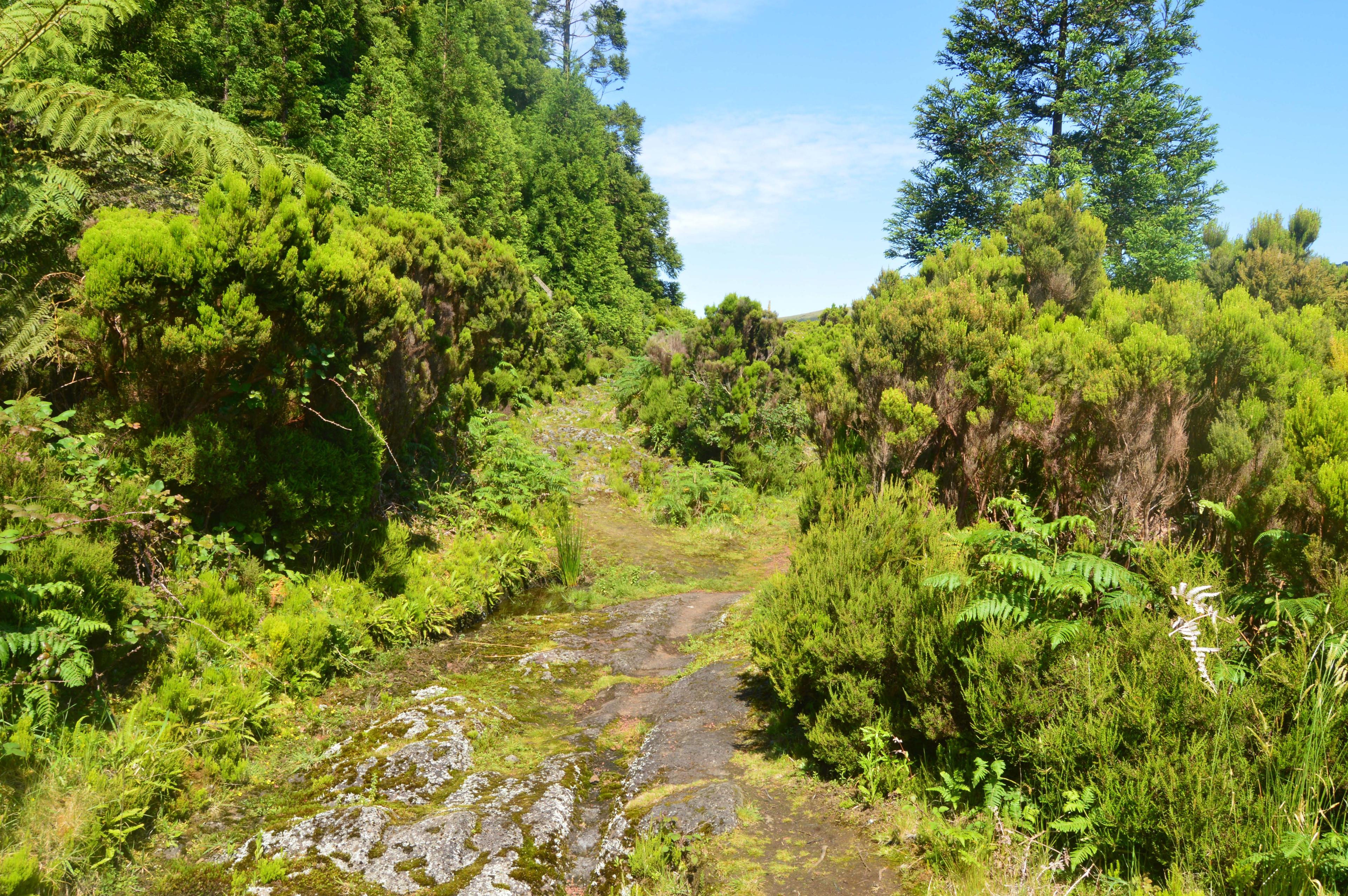 Hiking- passagem das Bestas - photo 2