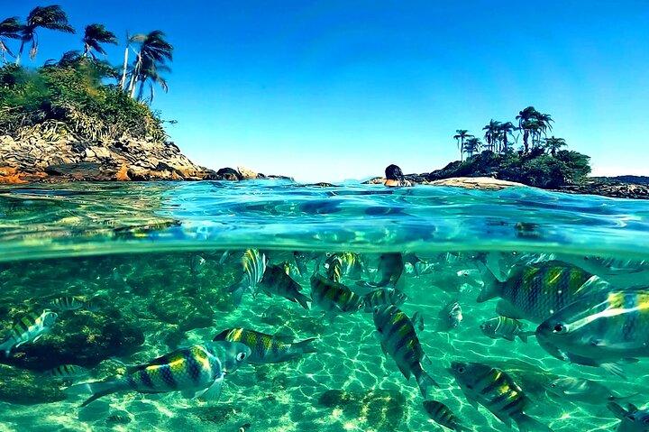 Paradise Islands in Angra dos Reis Private Boat Route - cover photo