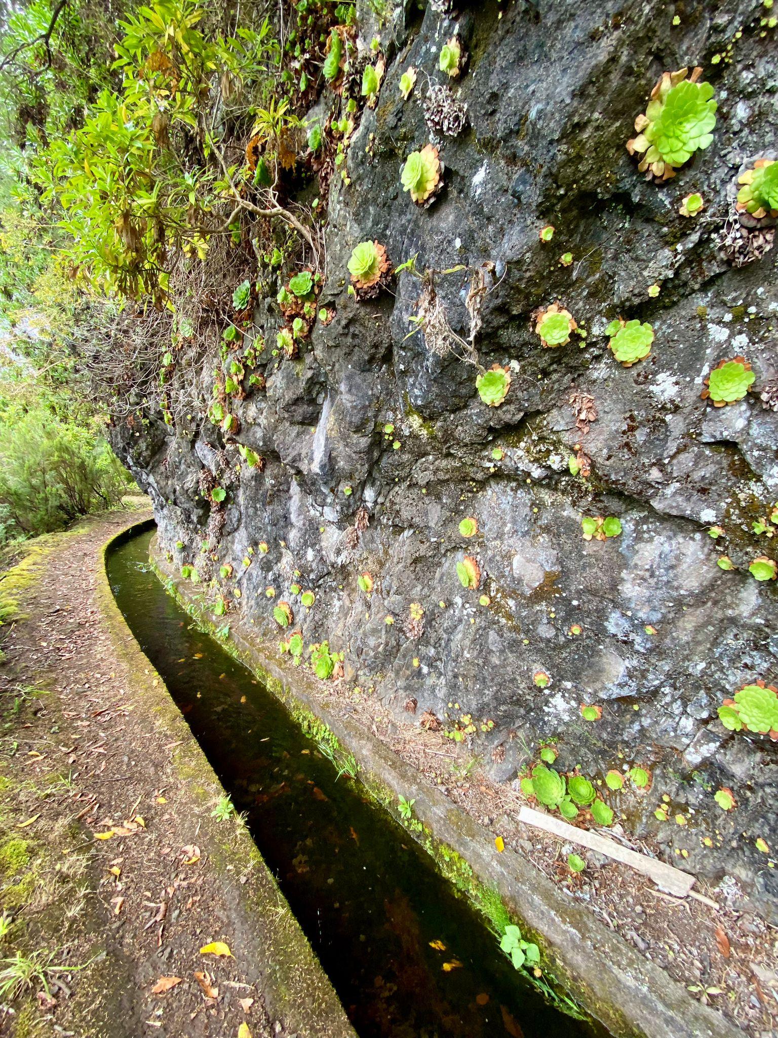 The Untouched Nature's Hike - photo 5