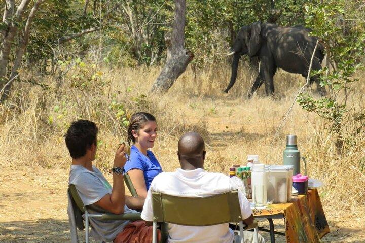 Chobe Safari Overnight Camping Trip - cover photo