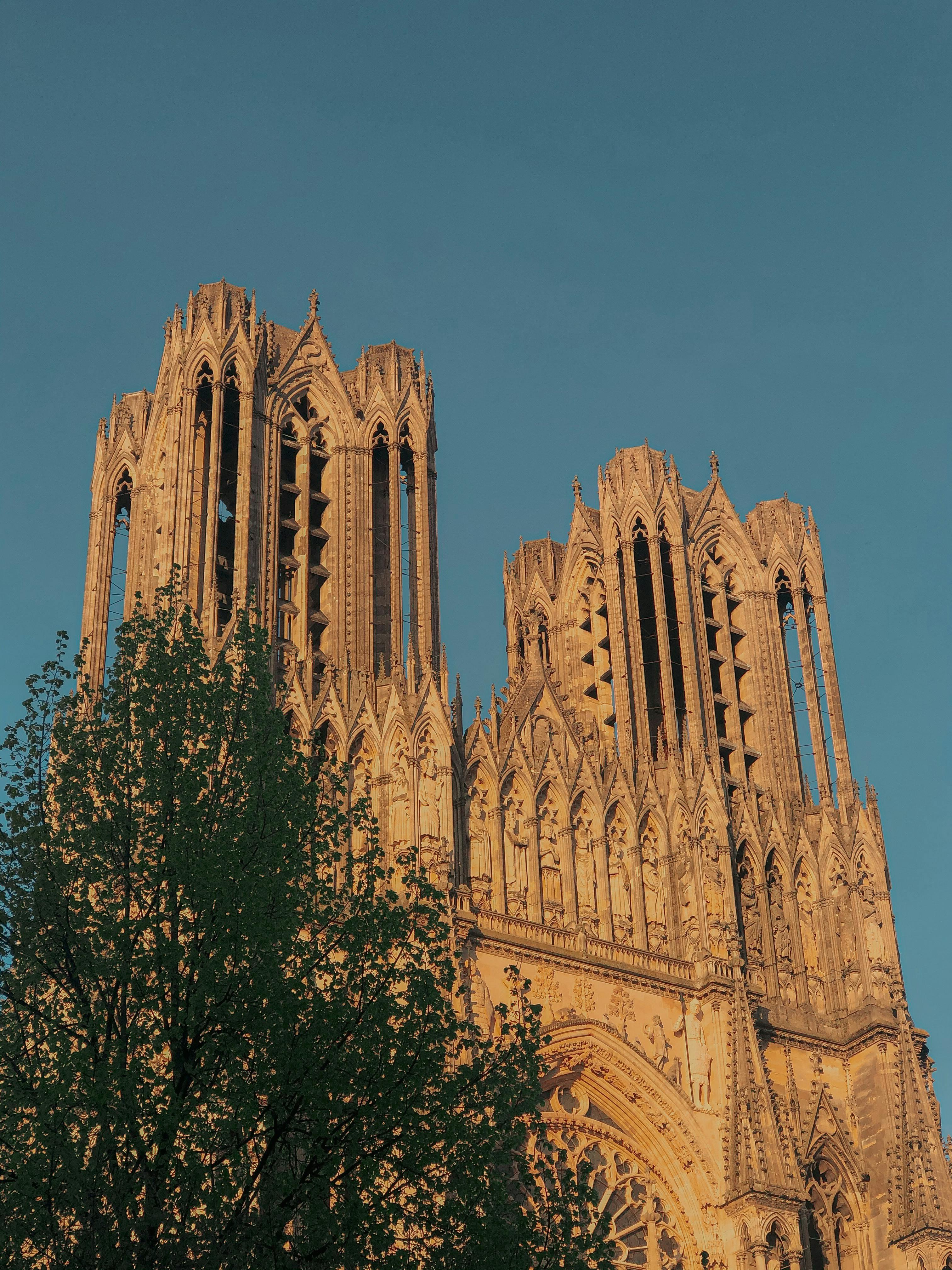 Champagne Region Day Trip by Train: Explore Reims & Epernay with an Expert Guide - photo 3
