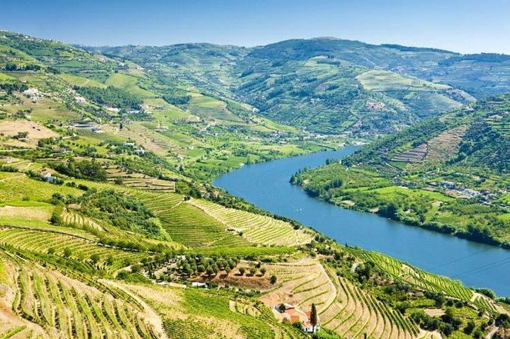 From Porto: Douro Tour with Wine, Cruise and Viewpoint Half-day - photo 2