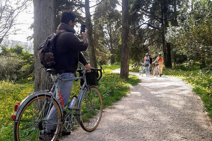 Monsanto Vintage Bike Tour - photo 2