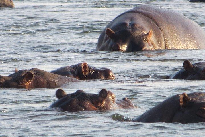 Hwange 2 Nights Bush Camping and Safaris - photo 3