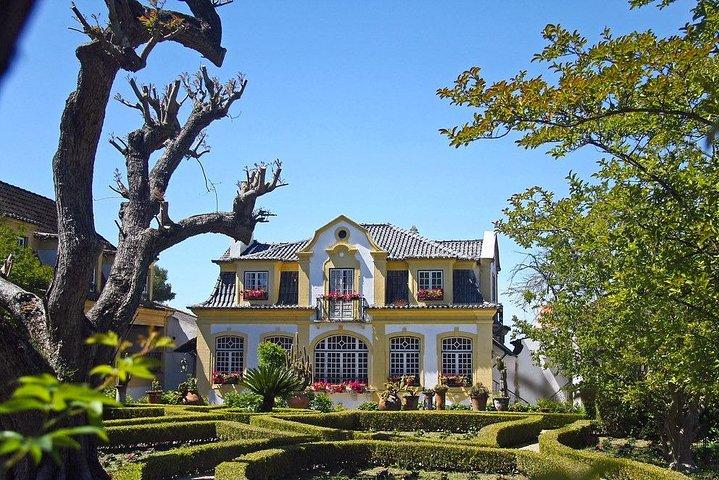 Excursão privada de vinhos em Lisboa com visita a 2 vinícolas e degustação - photo 2