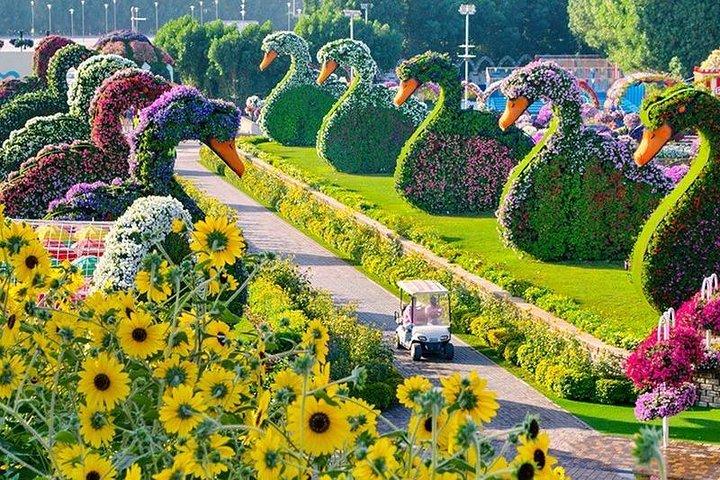Dubai Miracle Garden with private round trip transfers - photo 2