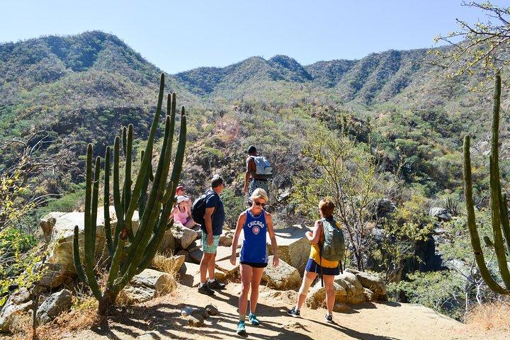 Los Cabos: Hiking at the Fox Canyon with Waterfall - photo 3