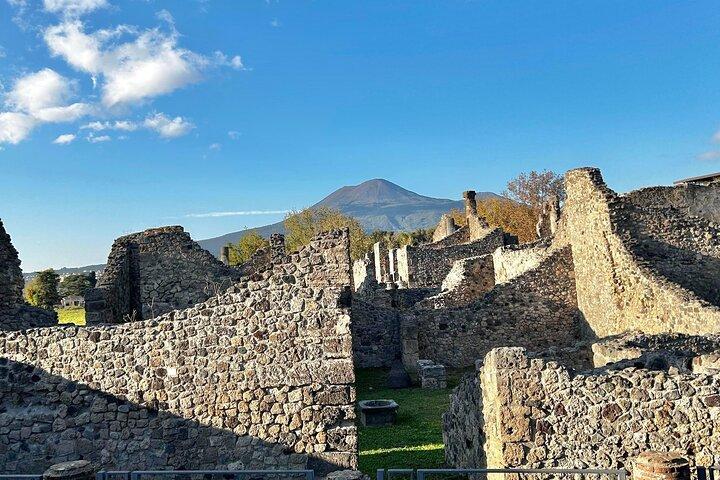 Pompeii, Vesuvius Hike and Wine Tasting with Lunch from Salerno - photo 4