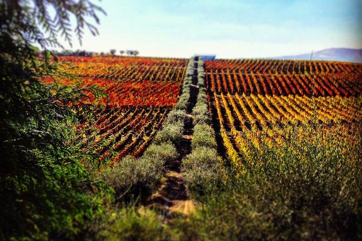 Douro, Unesco Heritage Site - cover photo