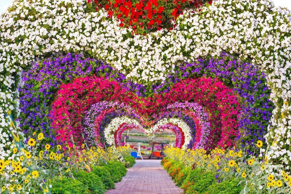 Dubai Miracle Garden & Global Village visit with Private Transfers - photo 3