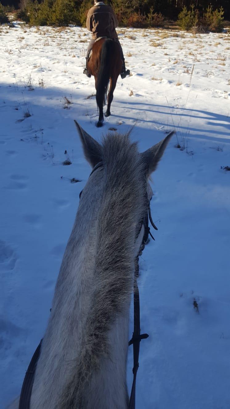 Horse Riding Lessons at the Heart of the Rose Valley - photo 5