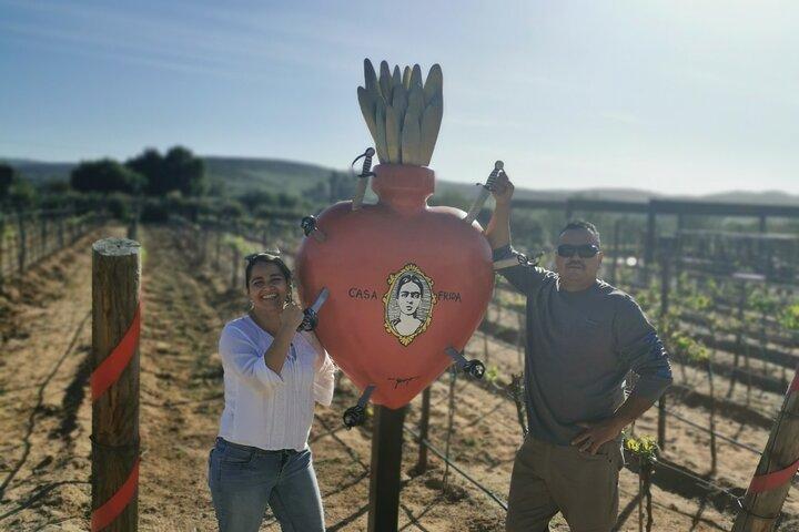 Grand Mexico Wine Country Tour from San Diego - photo 3
