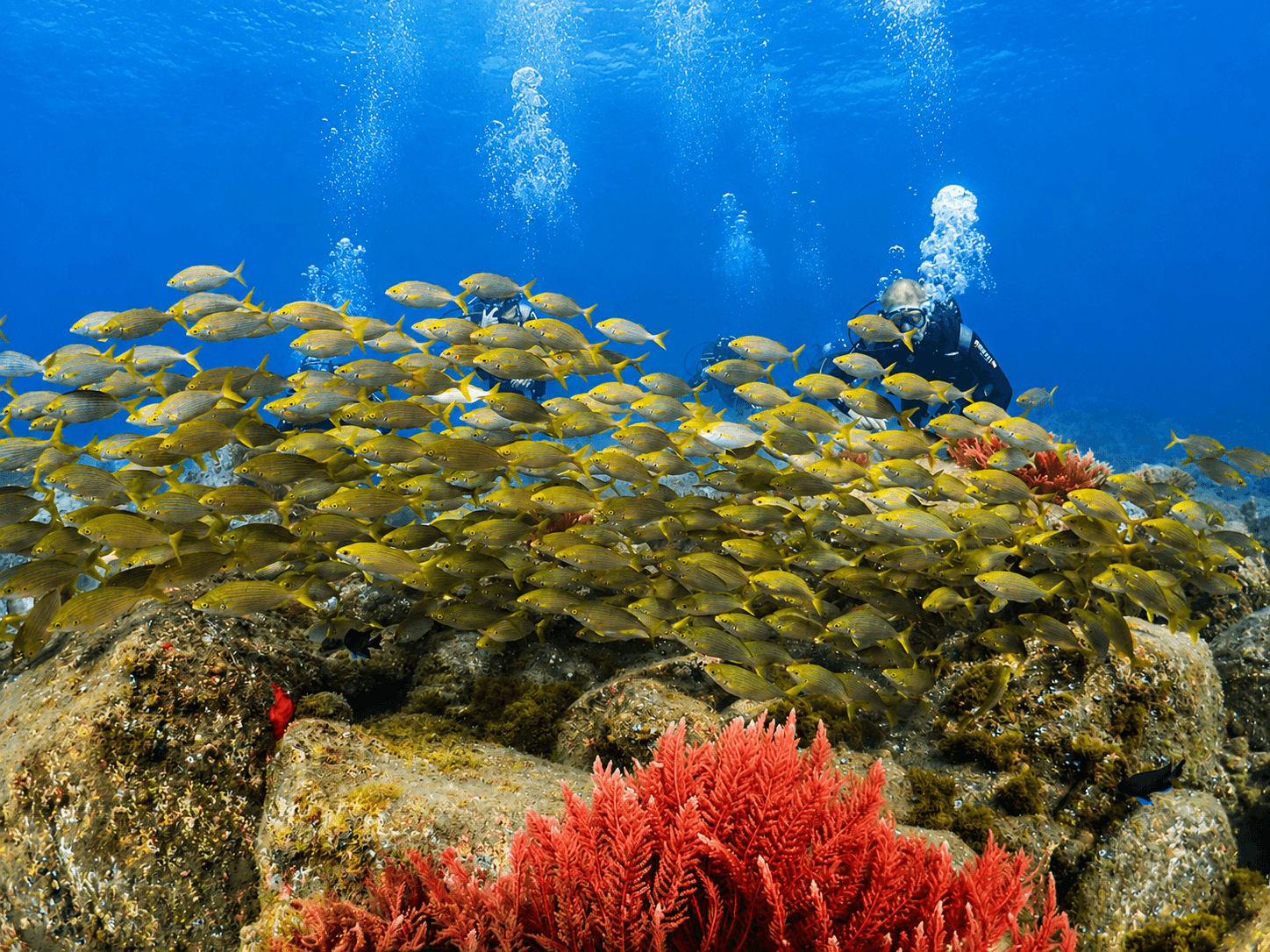 Try Scuba Diving Experience | Ponta de São Lourenço - photo 5
