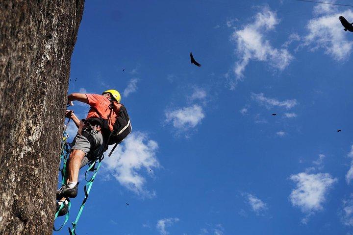 Rio de Janeiro Rock Climbing for All Skill Levels - photo 4