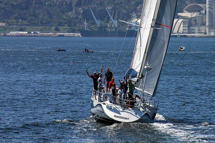 Sailboat Ride in Sado River and Atlantic Ocean - Half Day - photo 2
