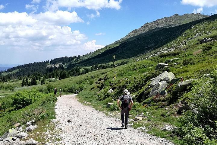 Vitosha Mountains and Cherni Vryh Peak (2290m) - cover photo