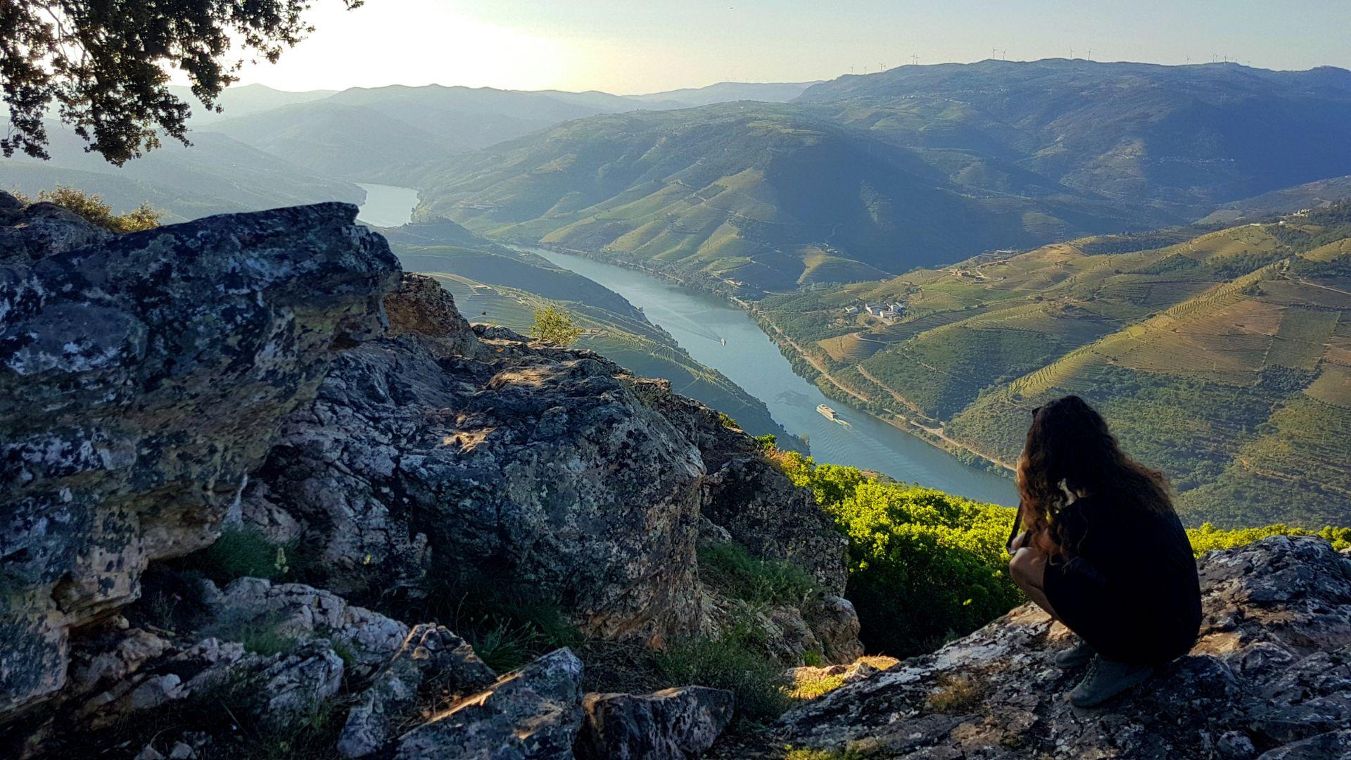 Private Premium Douro Valley Wine Tour - cover photo
