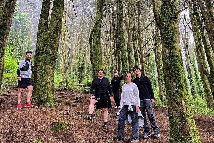 Sintra Free Walking Tour: Fairytale Village, Palaces & Legends - photo 3