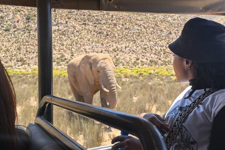 Morning Big 5 Safari Adventure with Wine Tasting Escape - photo 5