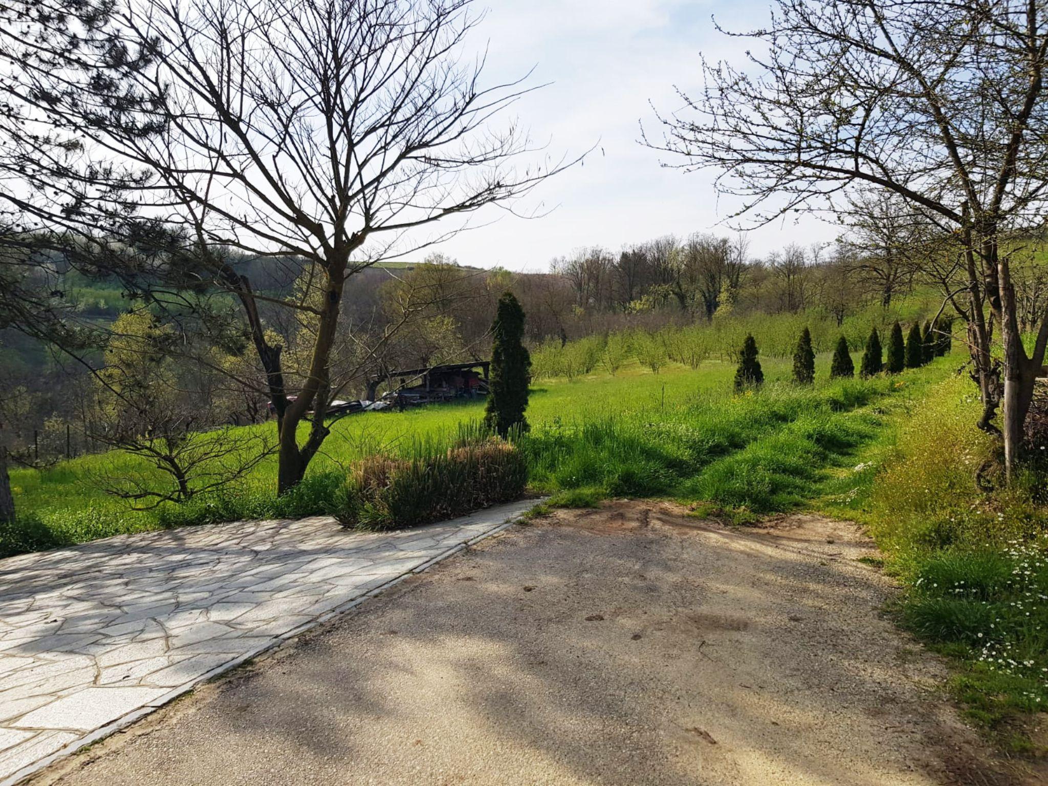Beekeeping Tour and Honey Tasting Experience in Monferrato - photo 2