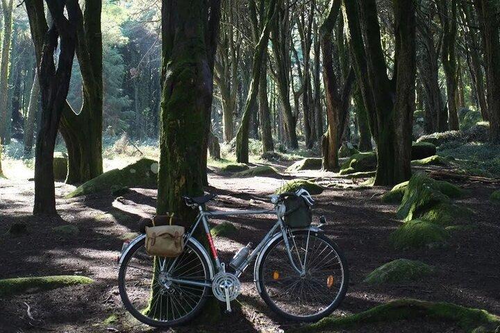Monsanto Vintage Bike Tour - cover photo