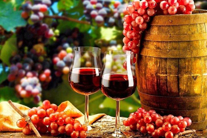 Douro Valley Private Wine Tour From Lisbon - cover photo