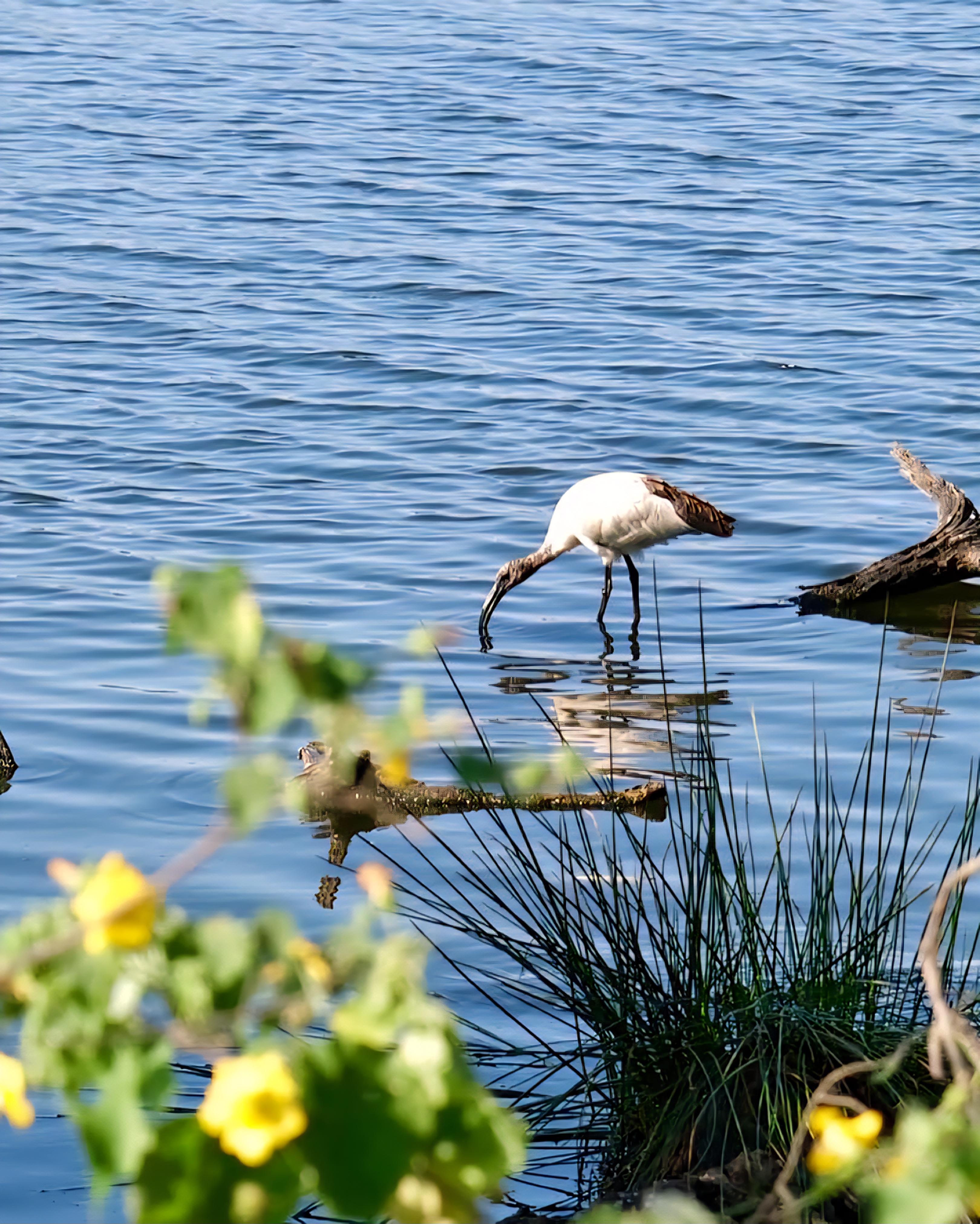 Arusha: Lake Duluti Canoeing | Bird Watching | Nature Walk Day Tour - photo 3