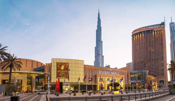 Dubai Mall Aquarium & Underwater Zoo Tickets - photo 4