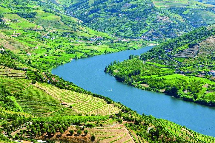 Douro Valley Small-Group Tour with Two Winery, Lunch & Boat Trip - photo 3