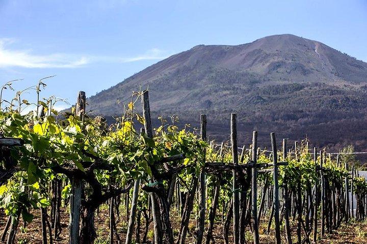 Pompeii Ruins & Caserta Royal Palace with Lunch & Wine Tasting from Rome - photo 5