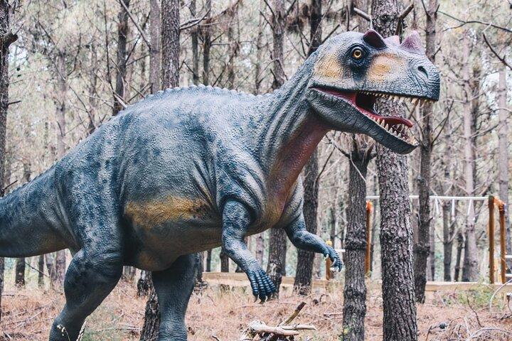 Dinosaurs Park - Family Half day tour - photo 4