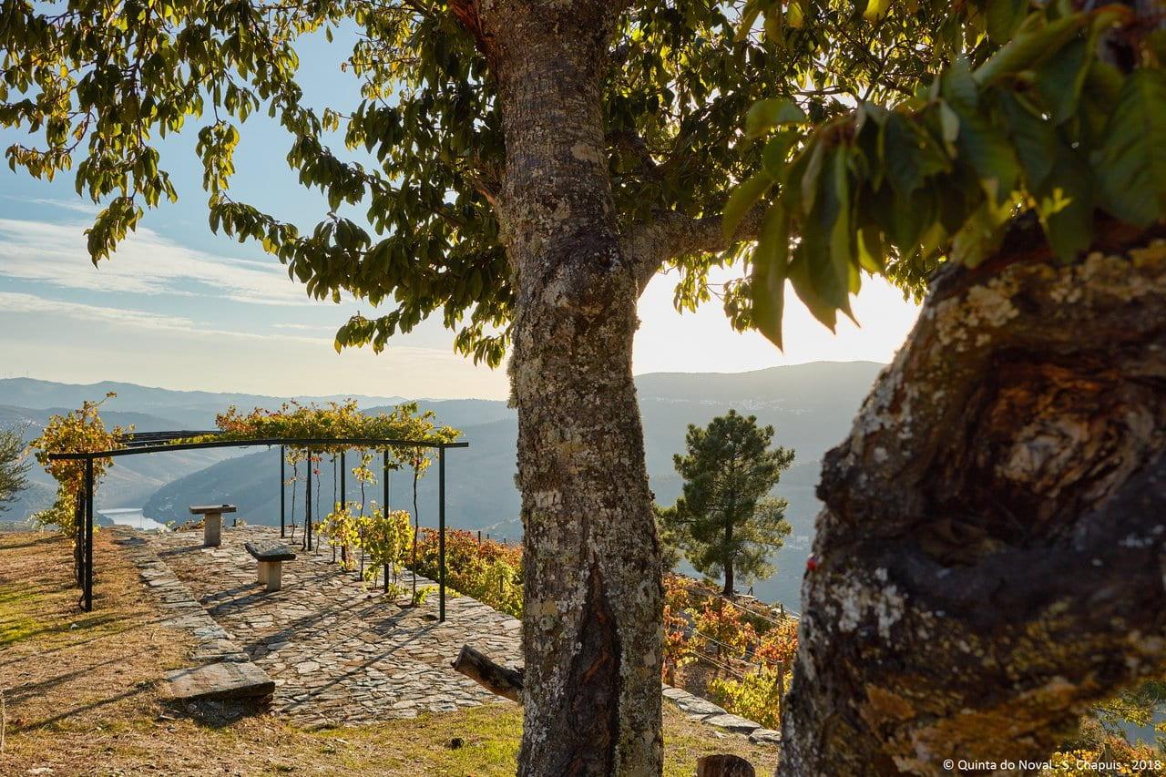 4×4 Douro Wine Tasting Tour - photo 3