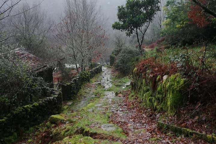 Gerês Park - 2 day with overnight Countryside - Booking signal - photo 4