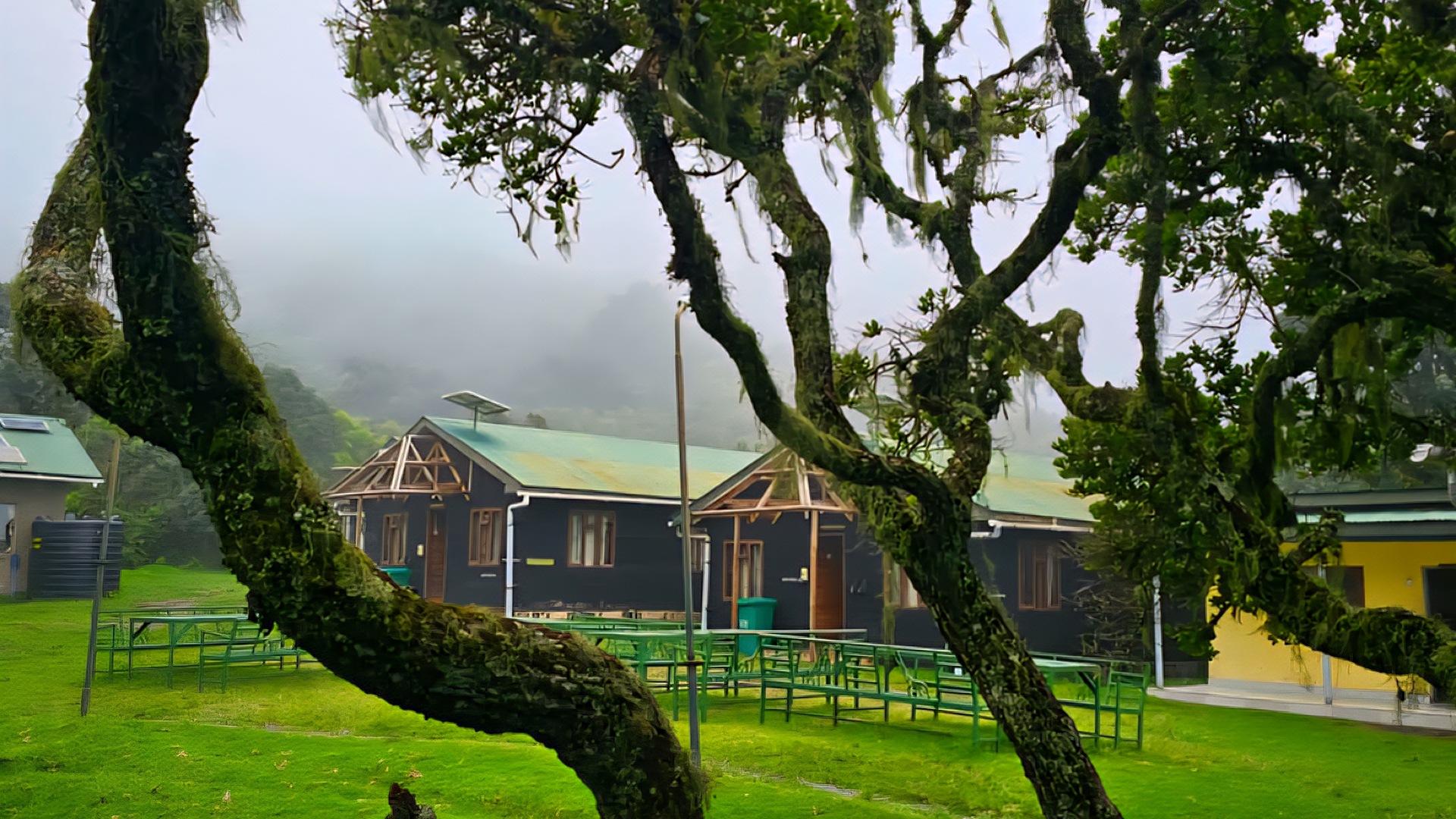 Mount Meru 3-Day Private Luxury Trek | Arusha National Park, Tanzania - photo 5
