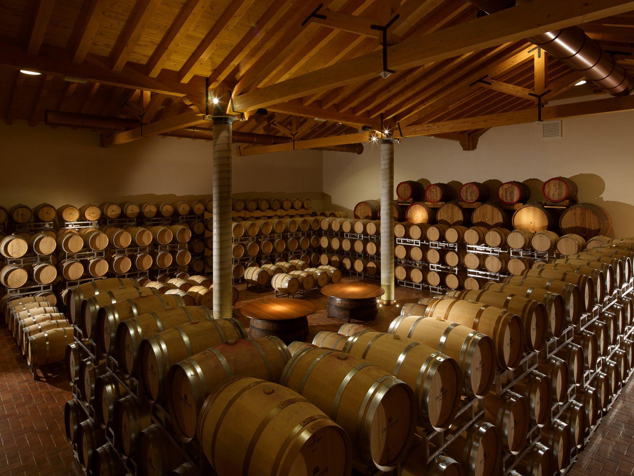 Prosecco Winery Tasting with Food Pairing near Venice - photo 3