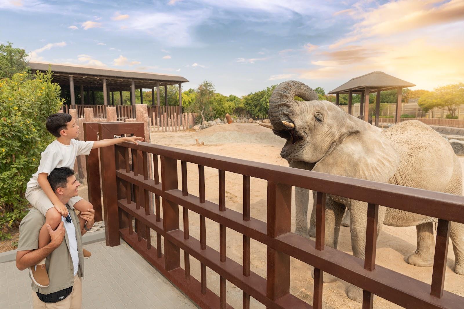 Dubai Safari Park Tour with Private Roundtrip Transfers - photo 4
