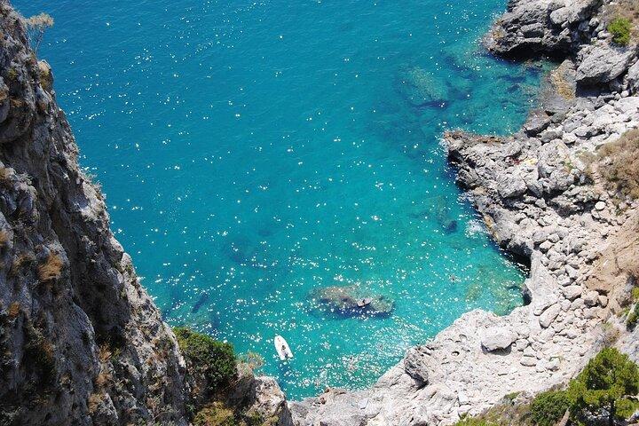 Naples : Capri and Pompeii Day Tour – Shared or Private Options - photo 3