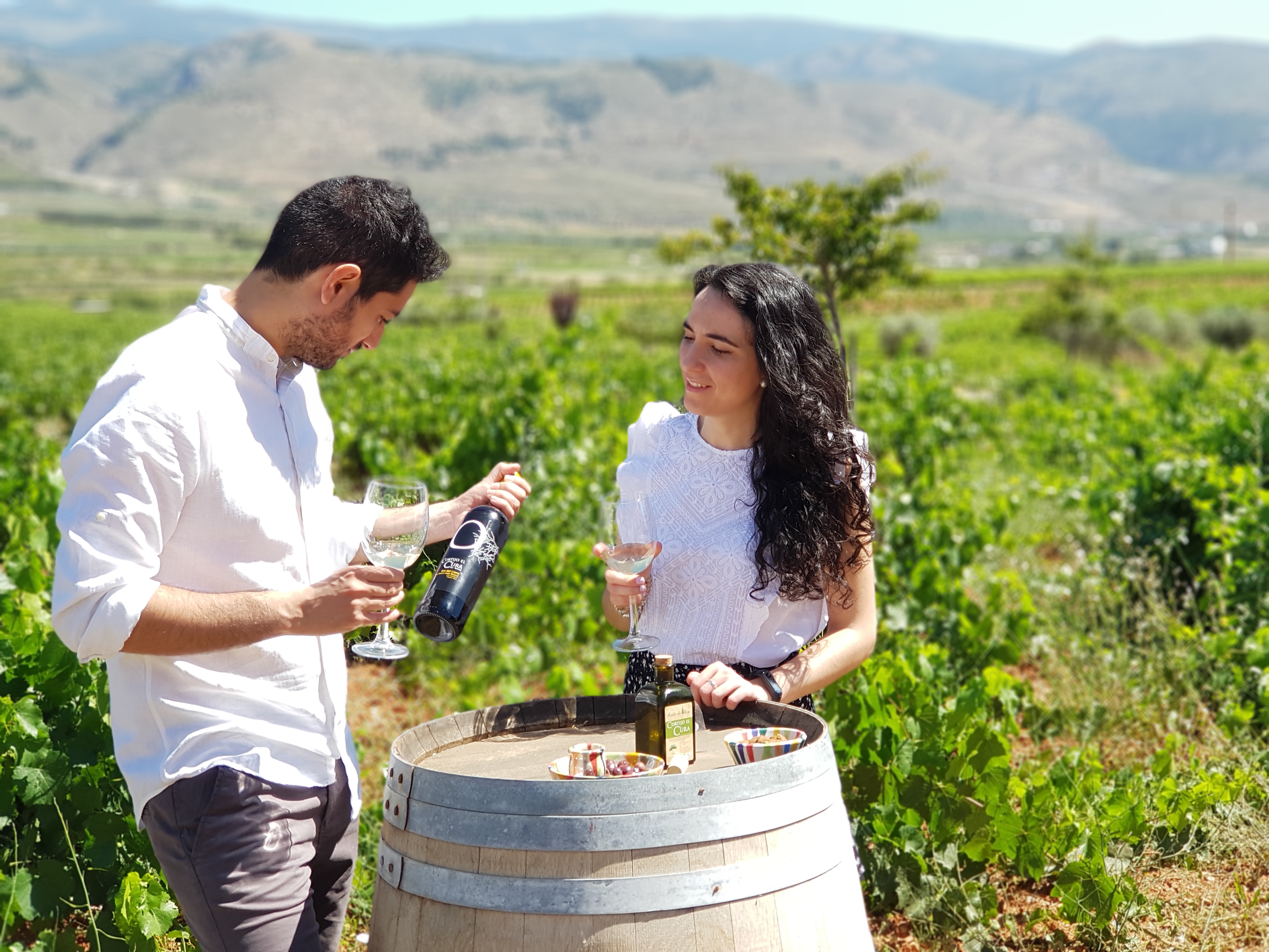 Wine tour and tasting in Almería - cover photo