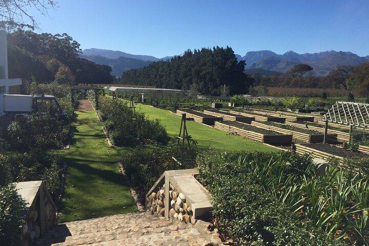 Private Tour to 20 Wine Tasting in Stellenbosch and Franschhoek - photo 4