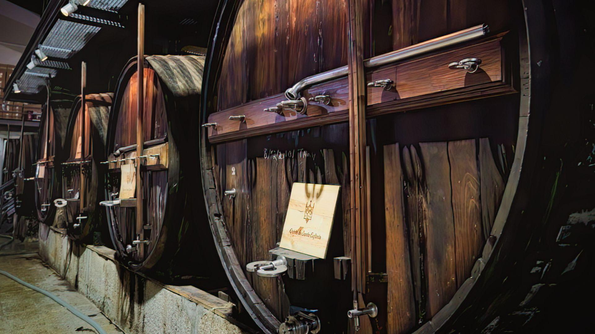 Private Premium Douro Valley Wine Tour - photo 2