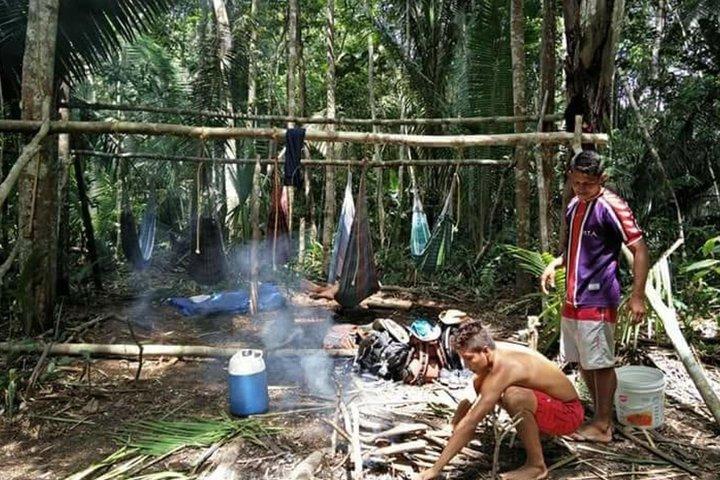 8-Hour Amazonas Jungle Treck & Anavilhanas Archipelago - photo 2
