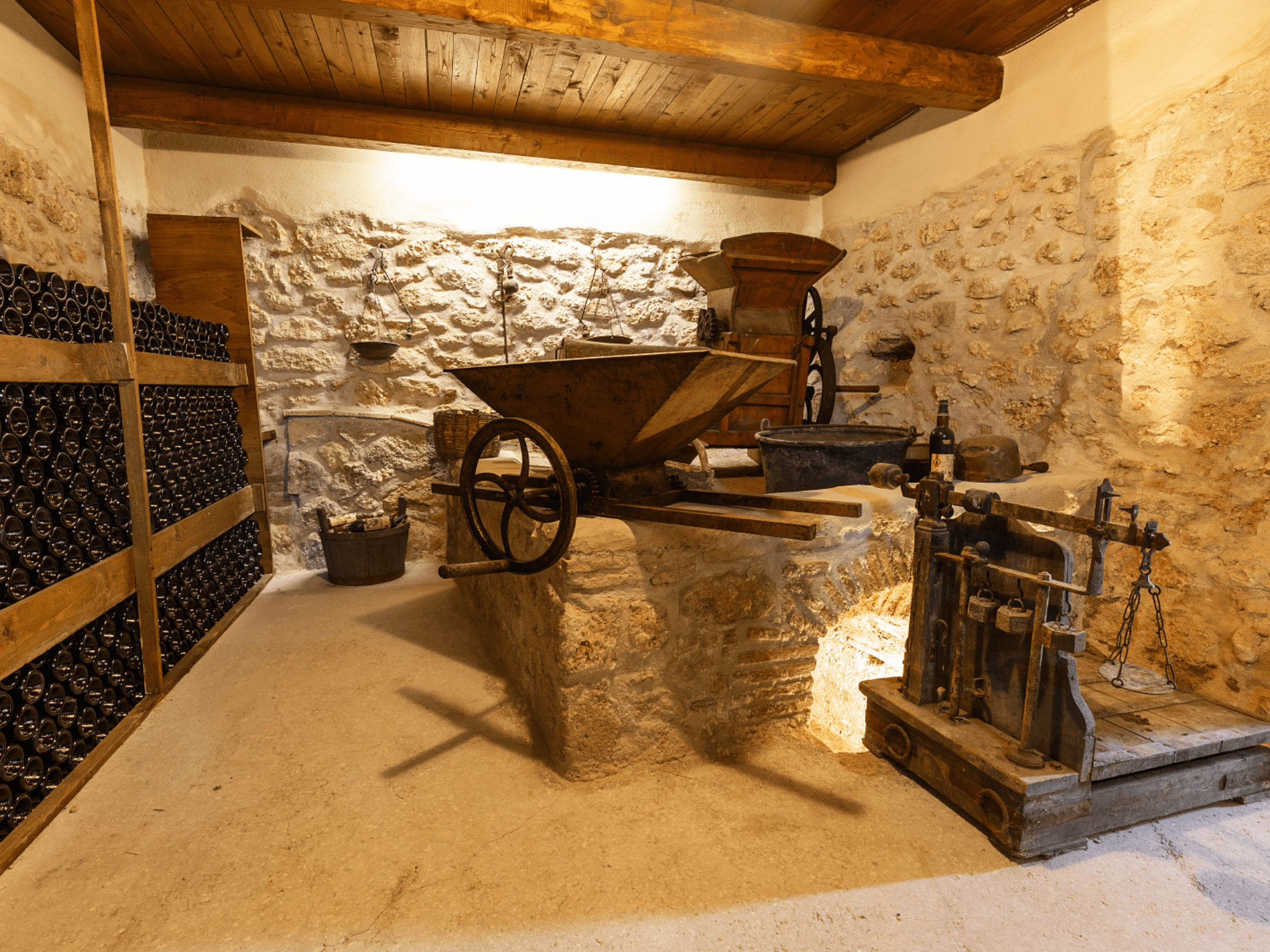 Winery Tour and Wine Tasting in Rieti Countryside - photo 3