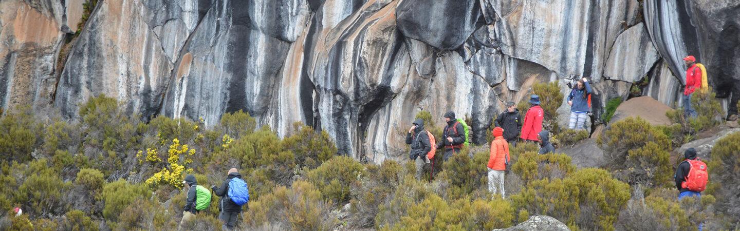 7-Day Kilimanjaro Marangu Trek & Wildlife Safari - photo 5